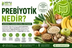Prebiyotik nedir?