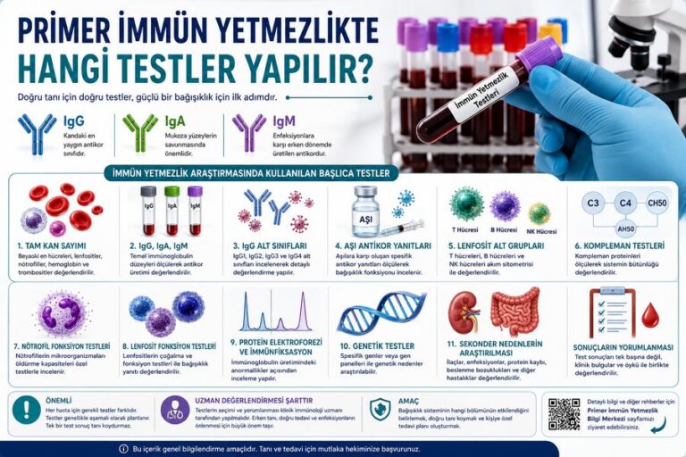 Primer immün yetmezlikte yapılan testler, IgG IgA IgM ve bağışıklık sistemi incelemeleri